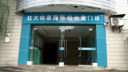 狂犬病 為何發病后致死率高達99.9%，每年5.5萬人死亡的警示